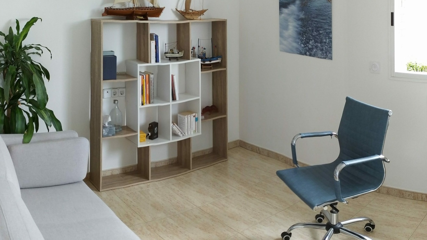 Consulta de Vincent Hairie: sofá, estantería y sillón azul
